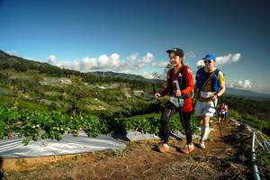 BIB: 
                            <button type="button" onclick="openModal(19124296)" class="btn btn-primary btn-sm float-right btn-popup" data-toggle="modal" data-target=".modal-high-quality">
                        <i class="fas fa-shopping-cart"></i> Add to Cart
                    </button>
                                            <button type="button" onclick="isThisMe(19124296, true)" class="btn btn-success btn-sm float-right btn-popup btn-isme hidden" data-toggle="tooltip" data-placement="bottom" title="นี่คือรูปของคุณใช่ไหม คลิกที่นี่เพื่อเอาเข้าอัลบั้ม">
                        <i class="fas fa-plus"></i> Add to album
                    </button>
                    <button type="button" onclick="isThisMe(19124296, false)" class="btn btn-warning btn-sm float-right btn-popup btn-isnotme hidden">
                        <i class="fas fa-ban"></i> Remove from album
                    </button>